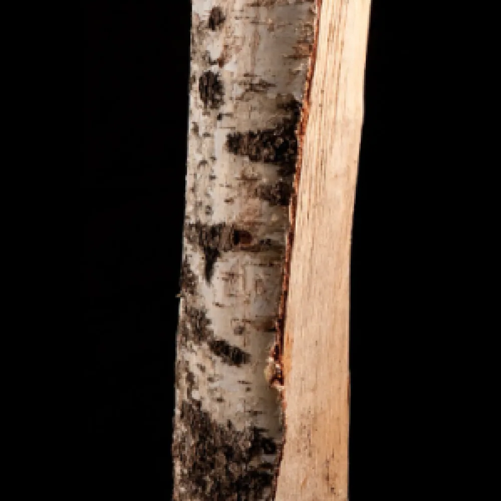 15 Sacs de Bois de Bouleau Sec – Bûches 25 cm – 8 kg par sac